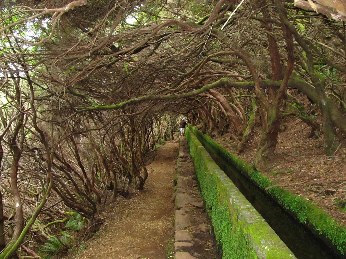 Beautiful View 1 - Arco Da Calheta - Ilha Da Madeira Apartment Luaran gambar